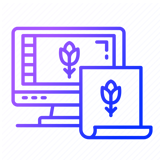 design